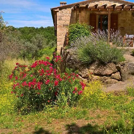 Tatil Evi Arnaio Al Giglio Roccastrada