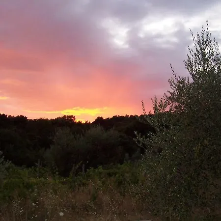 Arnaio Al Giglio *